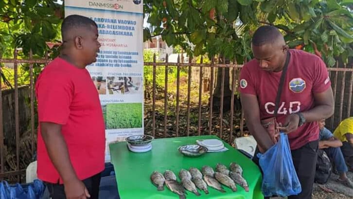 Image à la une de PISCICULTURE – Première vente publique  de tilapia pêché