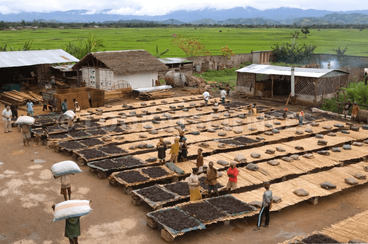 Image à la une de Éradiquer le travail des enfants dans la filière Vanille