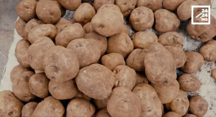 Image à la une de MADAGASCAR – 250 000 tonnes de pommes de terre produites annuellement