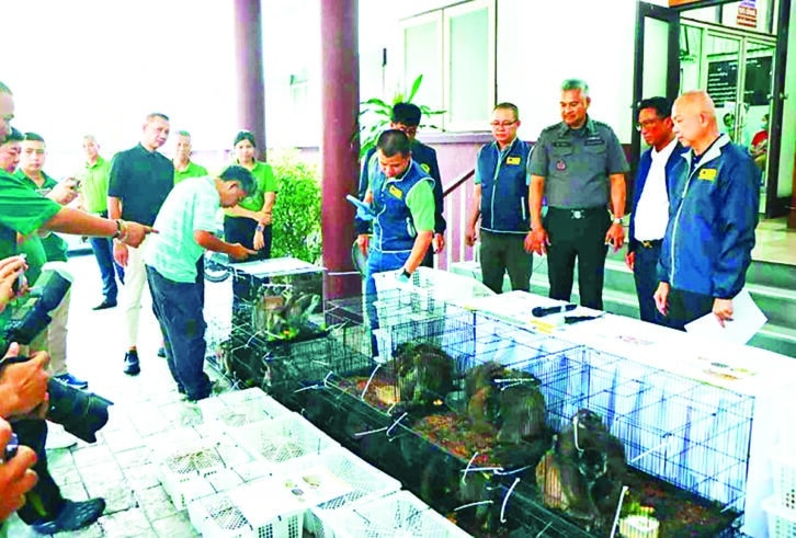 Image à la une de ANIMAUX SAISIS EN THAÏLANDE – Quatre personnes placées en garde à vue à Madagascar