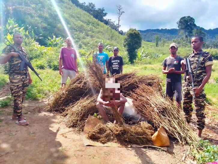 Image à la une de CRIME ENVIRONNEMENTAL – Huit personnes prises en flagrant délit dans une aire protégée à faire la chasse aux lémuriens