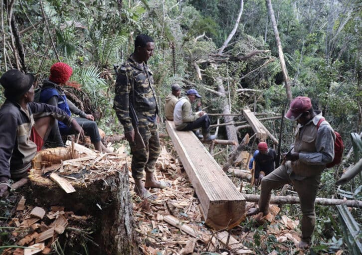 Image à la une de MORAMANGA – Exploitations sauvages dans une aire protégée