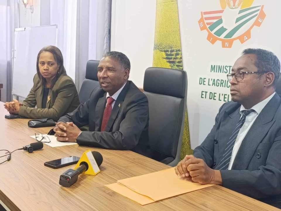 Image à la une de Quels sont les plans de Madagascar pour dynamiser son secteur agricole ?