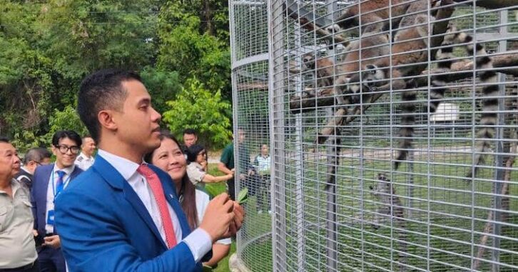 Image à la une de Accord de rapatriement pour les tortues et lémuriens saisis en Thaïlande