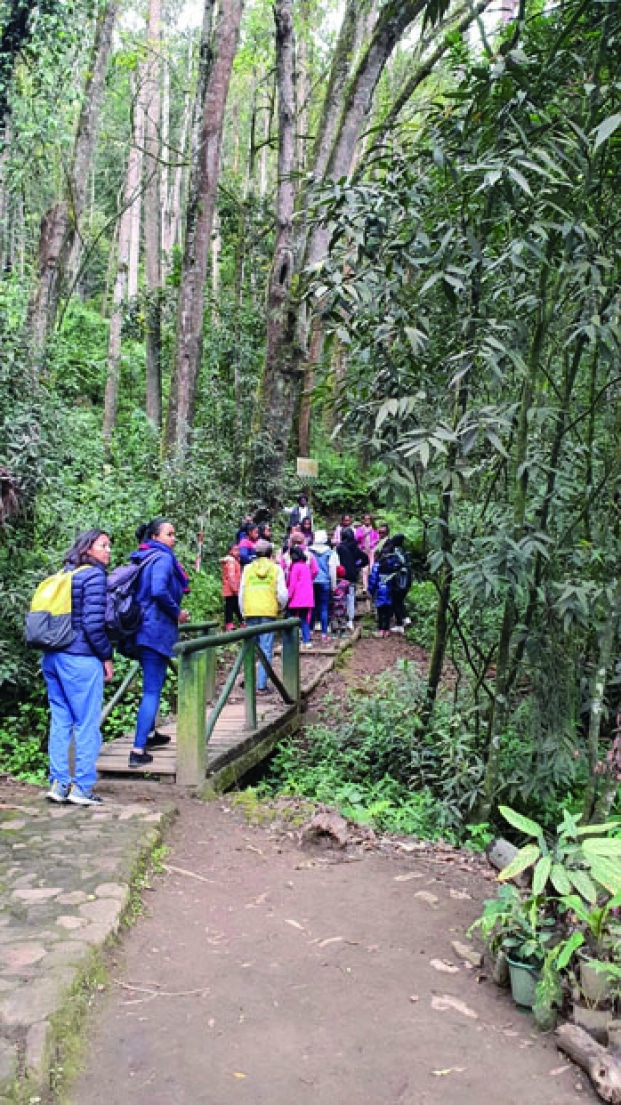 Image à la une de Conservation de la biodiversité – « Mandraka Park » bientôt sur la liste des aires protégées