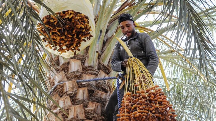 Image à la une de Entre le Maroc et l’Algérie, la guerre diplomatique plombe l’import-export