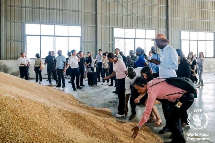 Image à la une de COOPÉRATION – Les chaînes de valeur du riz au centre des enjeux