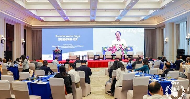 Image à la une de CSS de Chine : chaîne de valeur du riz et coopération stratégique à Madagascar