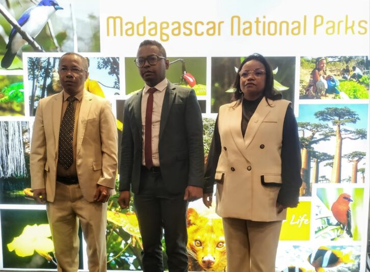 Image à la une de Un nouveau plan stratégique quinquennal à 63 millions d’euros pour Madagascar National Parks