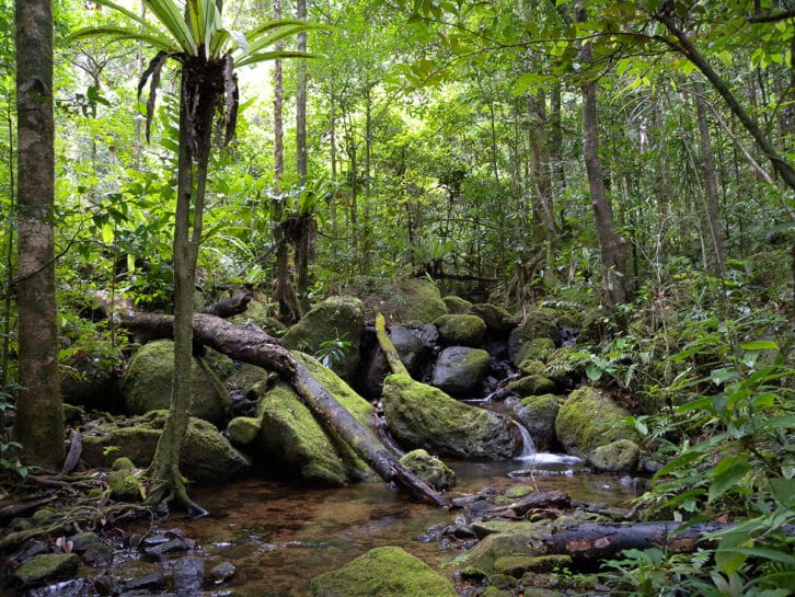 Image à la une de Des liens entre patronymes et toponymes 