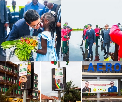 Image à la une de Guinée, vous avez dit Guinée ? En fait, il y en a… CINQ ! Les voici
