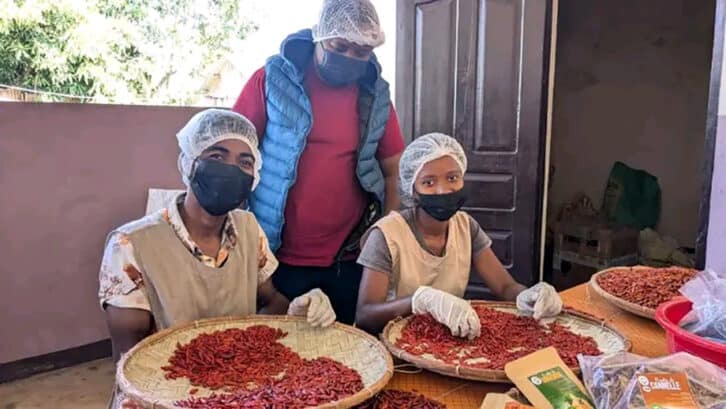 Image à la une de PRODUITS D’EXPORTATION  – Le bon goût du piment bec d’oiseau recherché