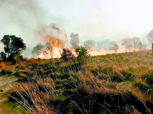 Image à la une de Le Menabe frappé par une série d’incendies – Une femme tuée, plusieurs milliers de sinistrés recensés