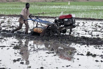 Image à la une de DÉVELOPPEMENT RURAL – L’agriculture et l’élevage peu mécanisés