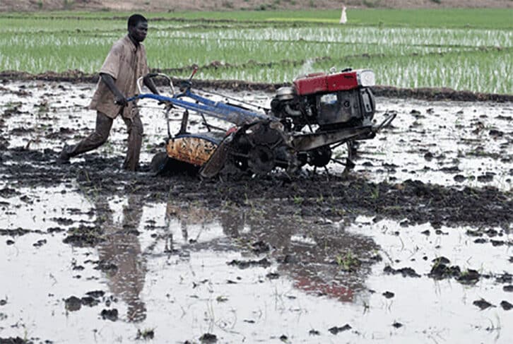 Image à la une de DÉVELOPPEMENT RURAL – L’agriculture et l’élevage peu mécanisés