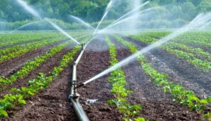 Image à la une de Révolution agroalimentaire : La consommation et la production durable promues par la FAO