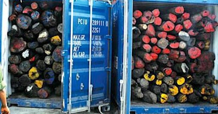 Image à la une de Les 640 tonnes de bois de rose saisies en Tanzanie bientôt rapatriées