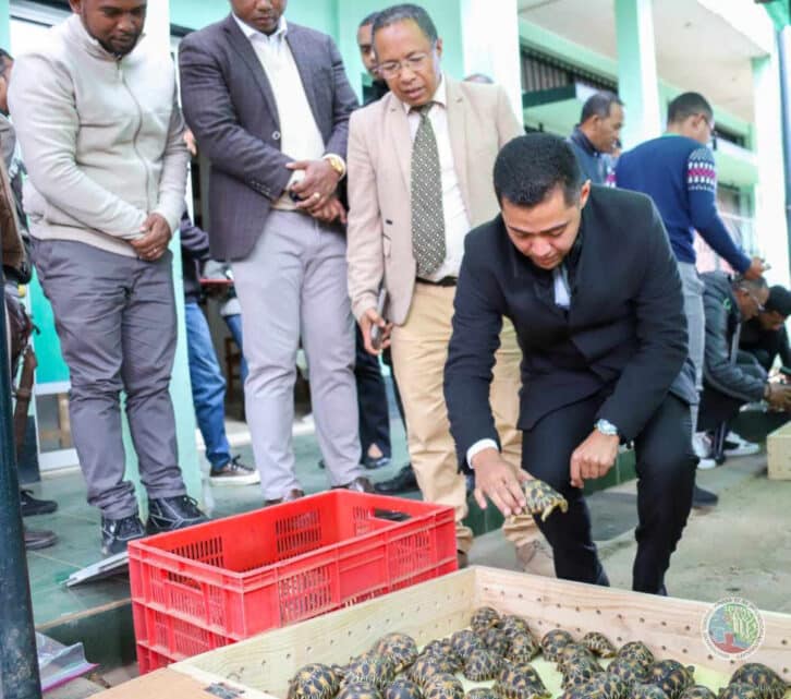 Image à la une de IVATO ET TSIHOMBE – Des trafiquants de tortues interceptés