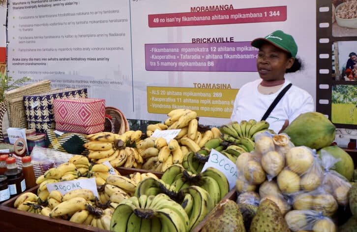 Image à la une de FIER MADA –  Le secteur agricole en quête d’investissements