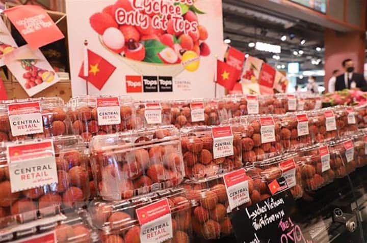 Image à la une de COMMERCE EXTÉRIEUR – Les recettes d’exportation de litchis en hausse