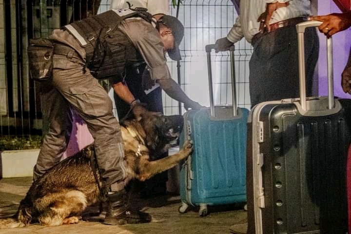 Image à la une de SÉCURITÉ AUX FRONTIÈRES – La douane met en action la brigade canine