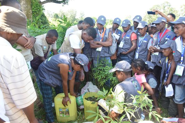 Image à la une de AFAFI Nord : Un levier pour le développement agricole et social dans le nord de Madagascar