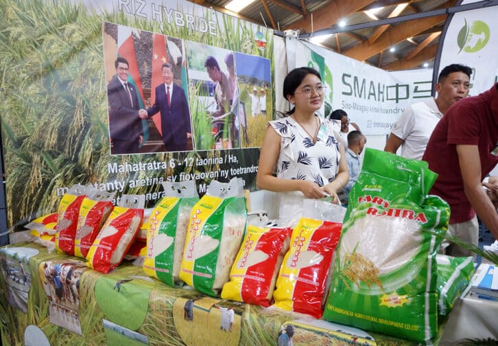 Image à la une de RIZ HYBRIDE – Des semences parentales à produire localement