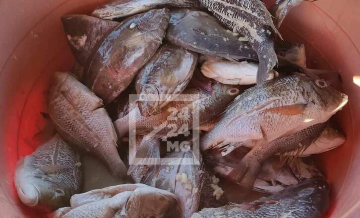 Image à la une de CONSOMMATION – 307 000 tonnes de besoin annuel en poissons