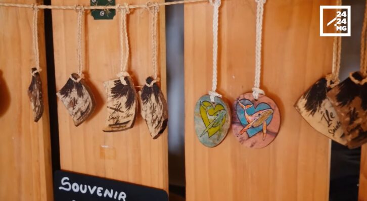 Image à la une de IDEE – Crazy Co’cool, ou comment adopter un coconut lifestyle au quotidien