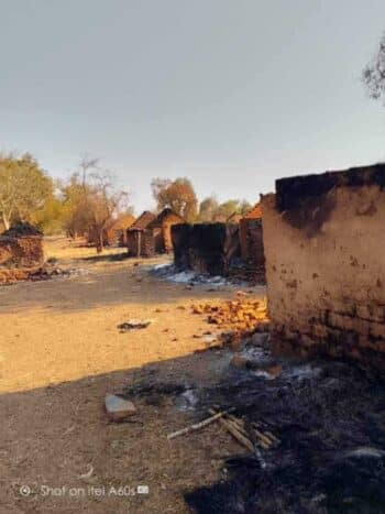 Image à la une de ANTANIMORA SUD – Morts d’hommes et fokontany incendiés