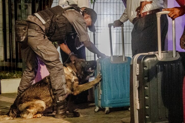 Image à la une de LUTTE CONTRE LES TRAFICS – La brigade canine de la Douane entre en service à Nosy-Be