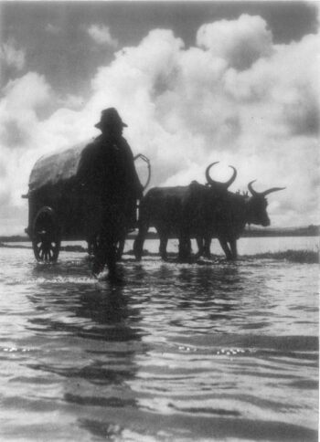 Image à la une de La maitrise de l’eau dans la plaine d’Antananarivo
