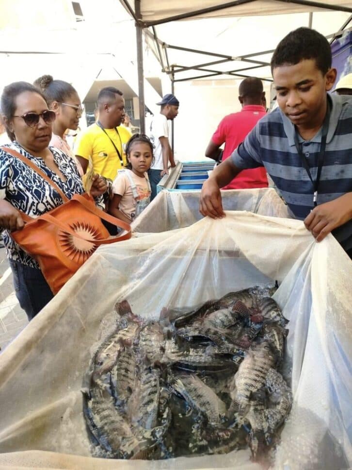 Image à la une de Produits halieutiques : Un Malgache consomme 7 kg de poisson par an