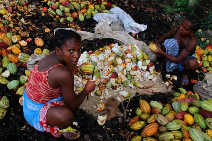 Image à la une de AMBANJA – Quand chocolat rime  avec tourisme