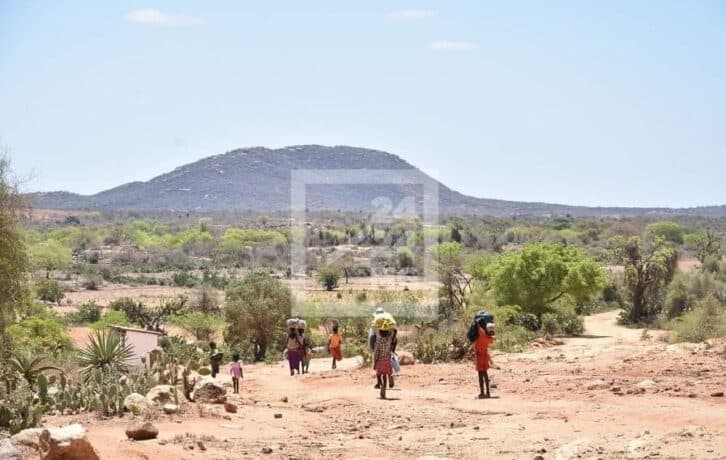 Image à la une de CLIMAT – Une année 2023 marquée par un déficit pluviométrique et la sécheresse à Madagascar, selon l’Organisation météorologique mondiale