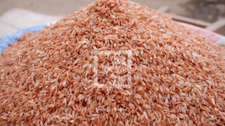Image à la une de CÉRÉALES – La FAO avance un besoin d’importation de 430 000 tonnes de riz pour la campagne de commercialisation 2024-2025