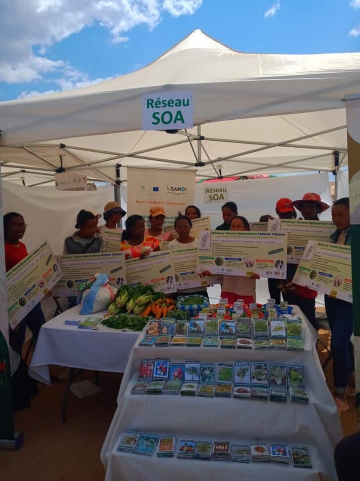 Image à la une de AGRICULTURE  –  Autonomisation des jeunes paysans