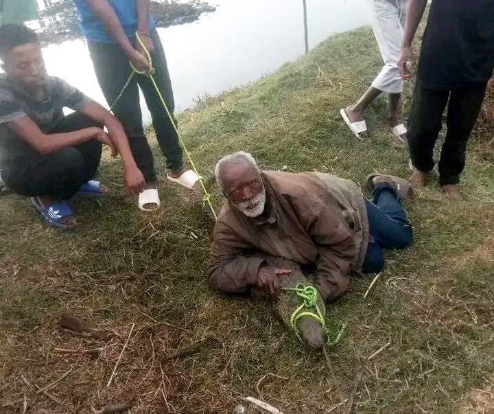 Image à la une de FENOARIVO ALAKAMISY – Des villageois capturent un crocodile en liberté