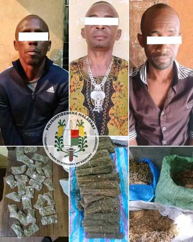 Image à la une de Usage de stupéfiants  – Un Mauricien arrêté, des Malagasy en prison