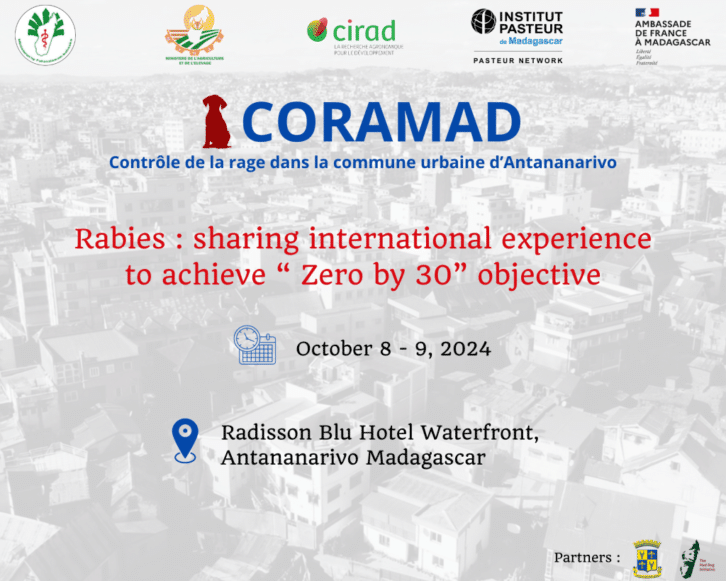 Image à la une de Symposium « Rabies : sharing international experience to achieve “ Zero by 30” objective »