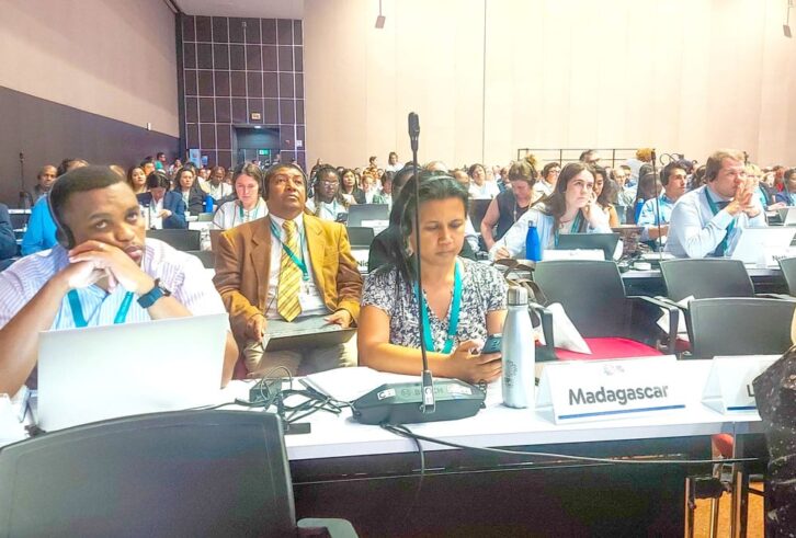 Image à la une de Biodiversité : Coup d’envoi de la COP16 à Cali, Colombie