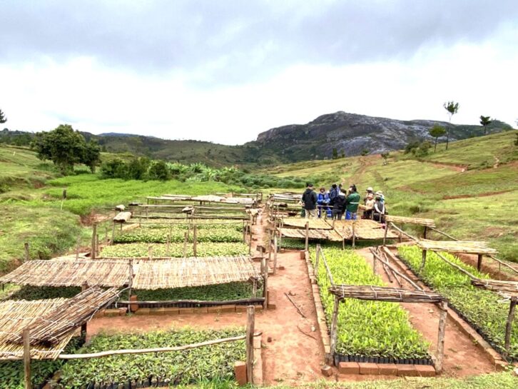 Image à la une de Projet Diabe : Vers une agriculture durable et des foyers écologiques dans l’Itasy