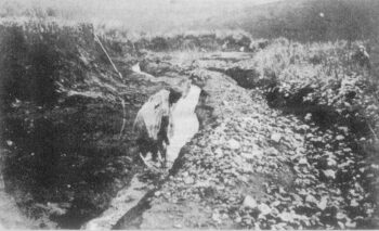 Image à la une de Le grand rôle des orfèvres royaux