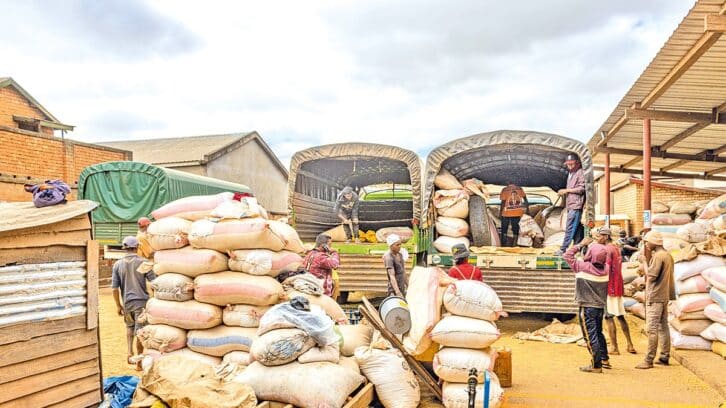 Image à la une de CONSOMMATION  – Les importations de riz diminuent de moitié