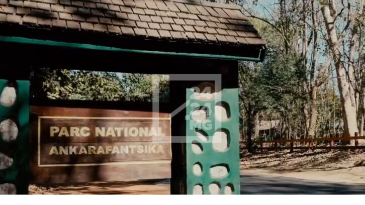 Image à la une de BIODIVERSITE – Un consortium des bailleurs pour soutenir la préservation à long terme du parc national d’Ankarafansika