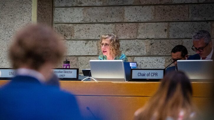 Image à la une de Inger Andersen (Pnue) : « Plus les financements climat se font attendre, plus l’enveloppe à verser à l’Afrique augmente »
