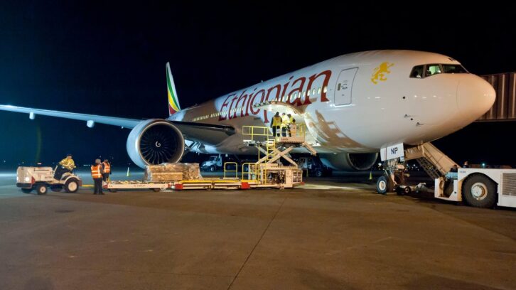 Image à la une de Ethiopian Airlines, Air Algérie, RAM… Qui sont les victimes africaines de la crise chez Boeing ?