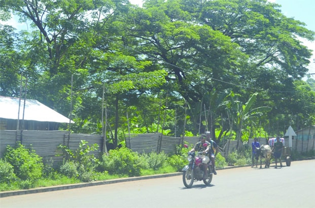 Image à la une de Litige foncier à Amboanara-Nosy Be – Un cas malheureux de violation du droit fondamental à la propriété