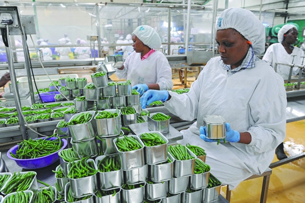 Image à la une de Conjoncture économique – Croissance mitigée pour les entreprises formelles