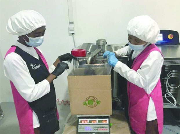 Image à la une de Sambirano Ingrédients – La transformation durable du cacao désormais opérationnelle